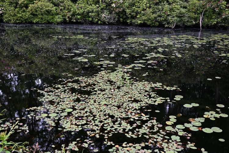 DSC_3057.jpg