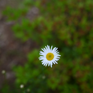 DSC_3100