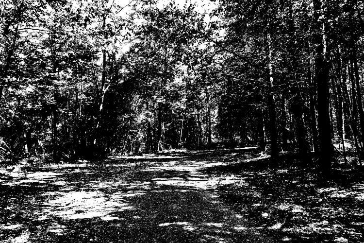 DSC_3362.jpg